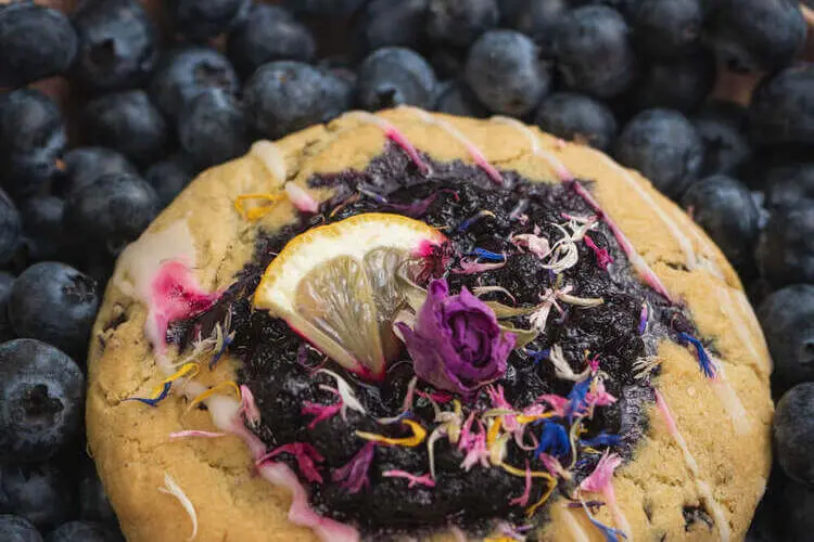 HomePage ganicus8098 github io 