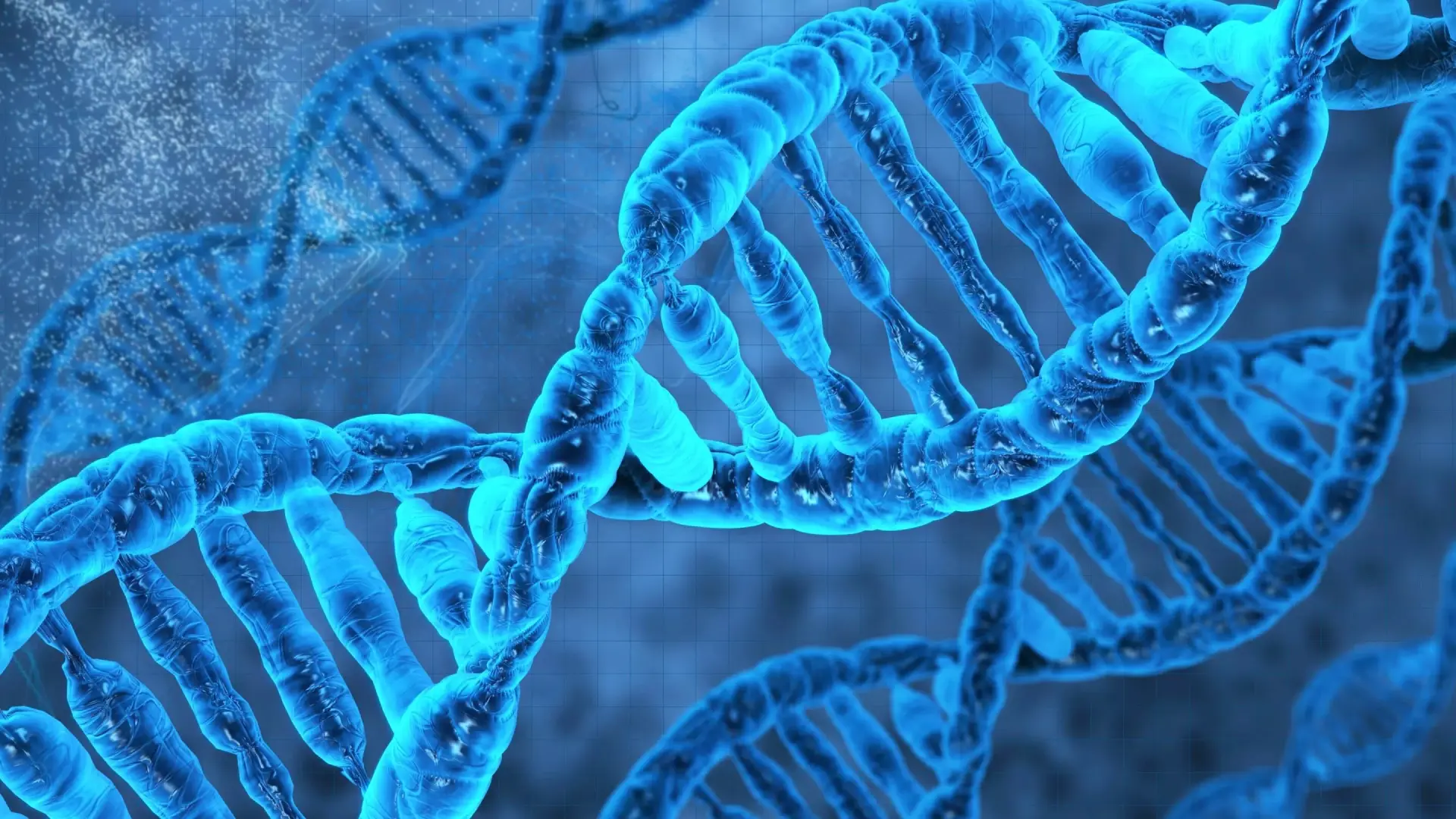 The picture of DNA